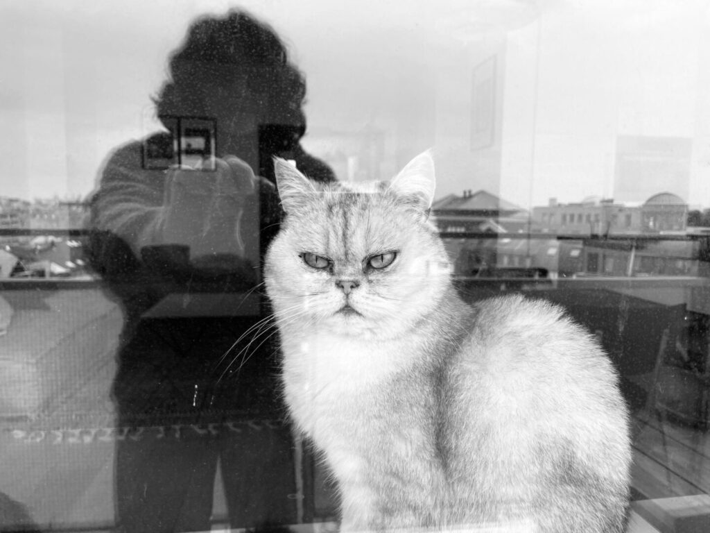 Involuntary Grumpy Look