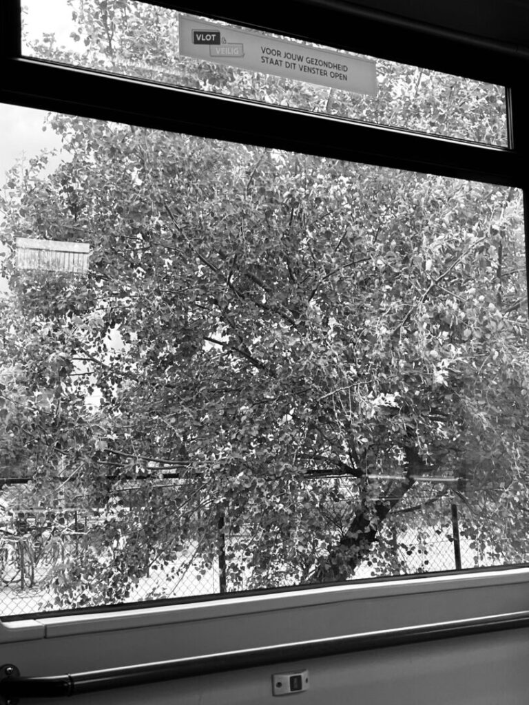 Tramwindow On The World