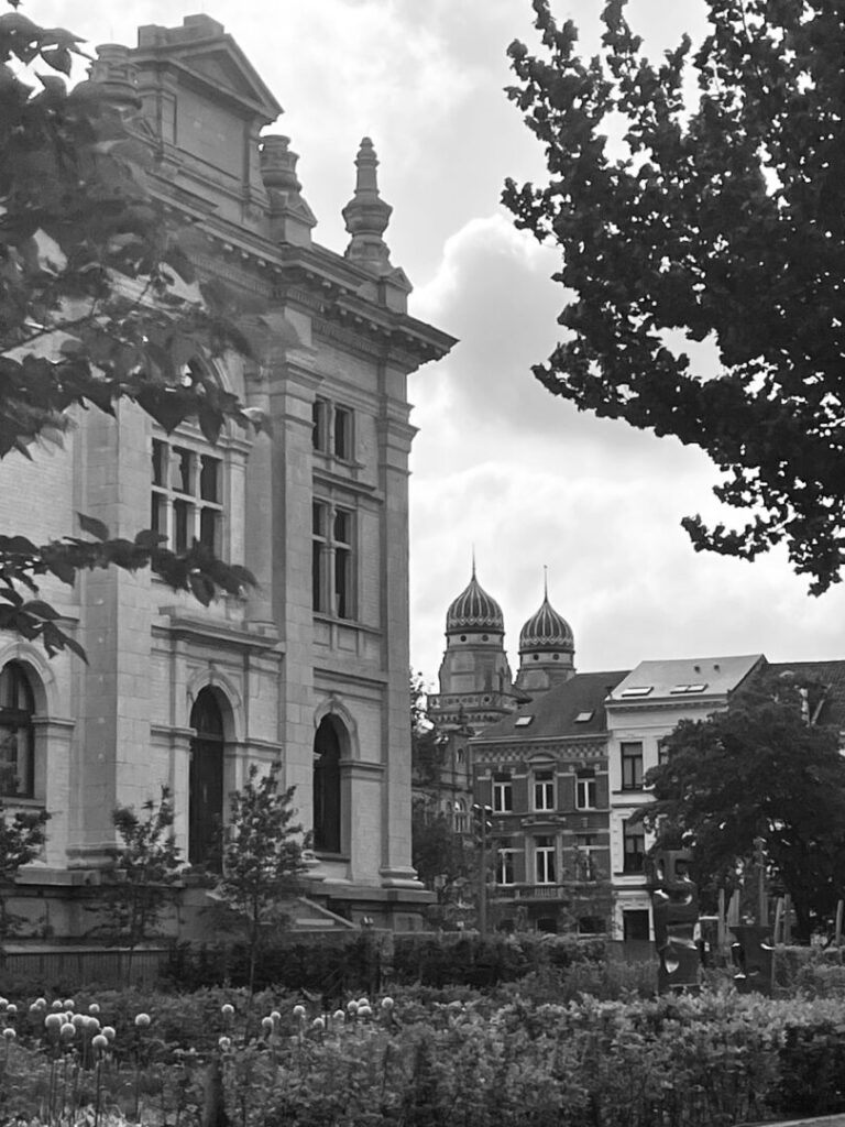 Wandering The Neighborhood Streets