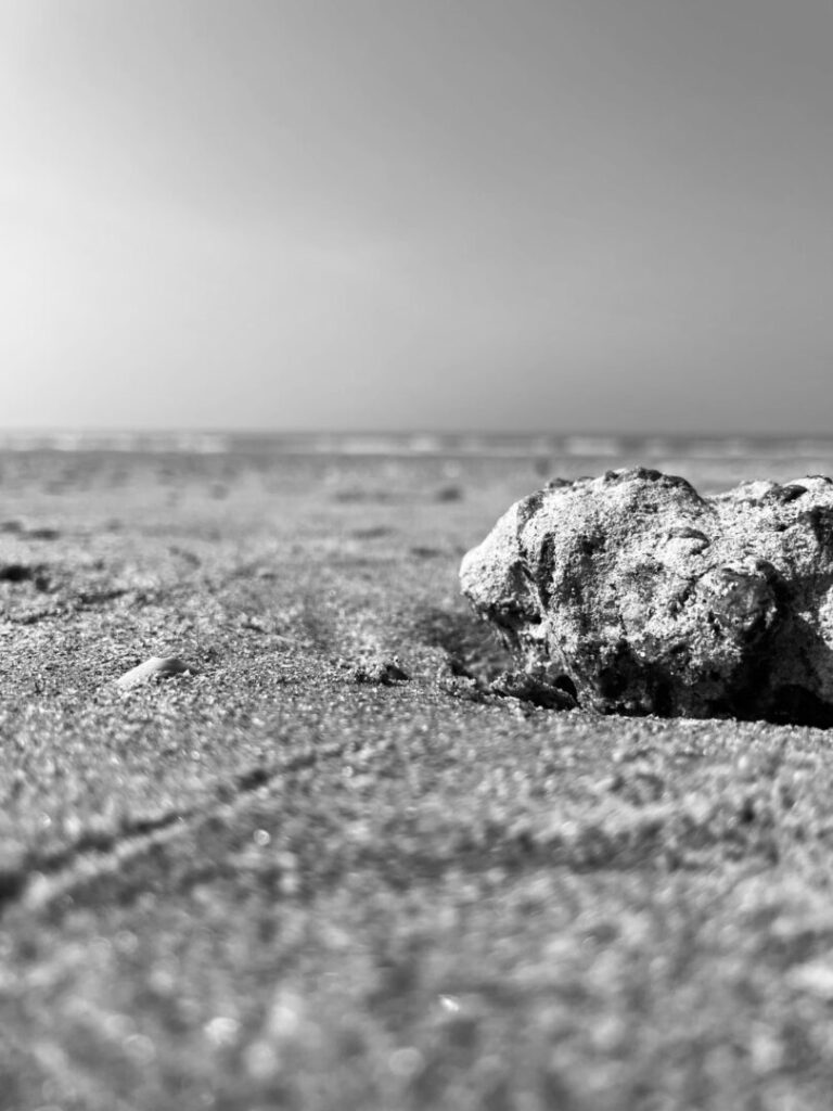 Stone On The Beach