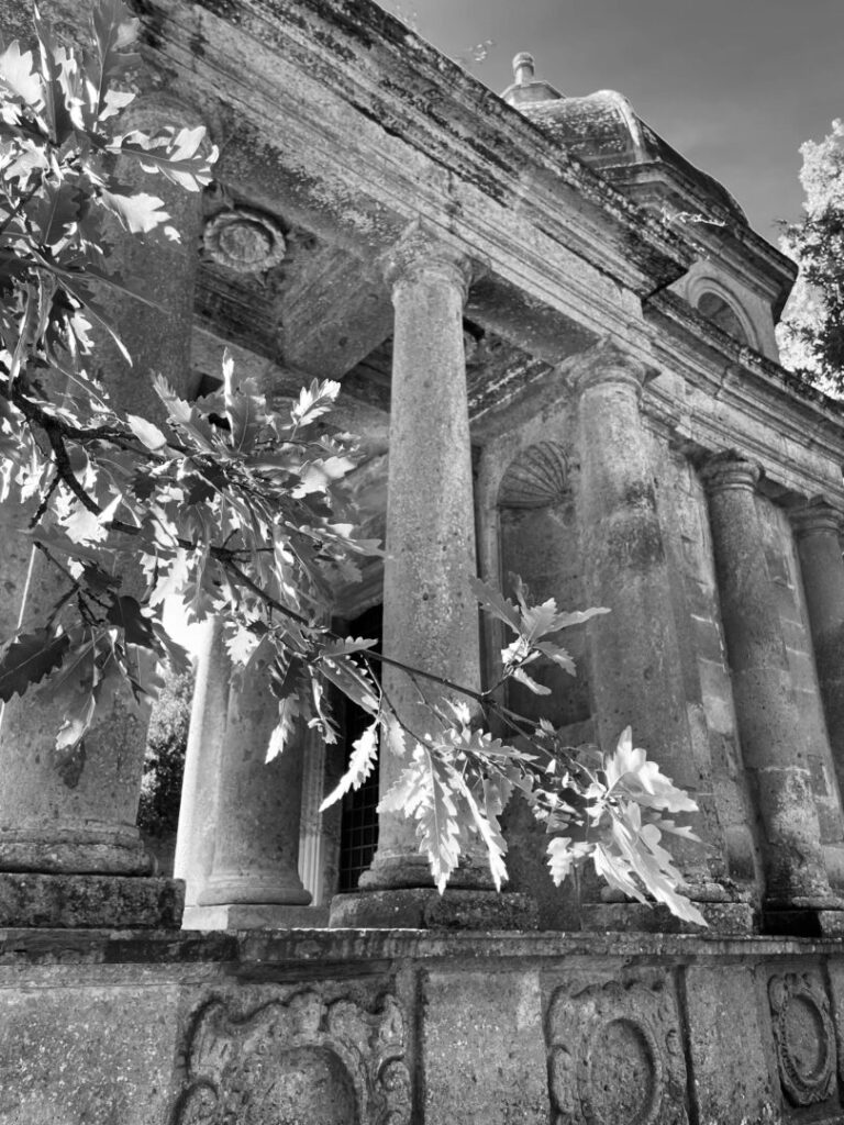 At The Top Of The Bosco