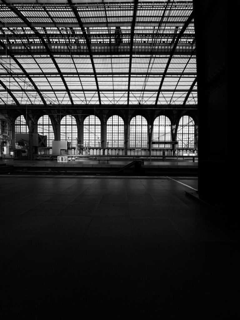 Sitting On A Bench Snapping With My Phone