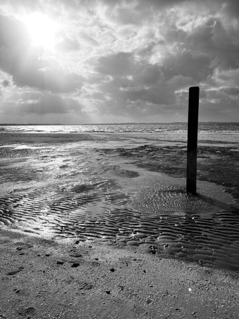 Still Life At The Seaside