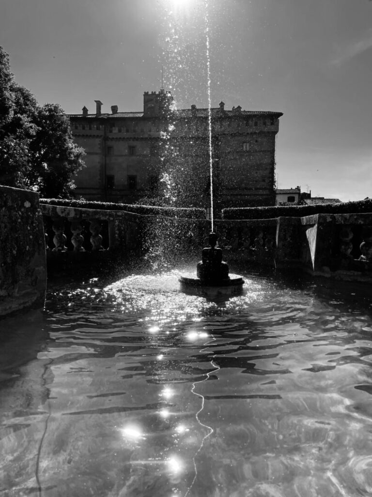 Sunlit Droplets At The Castello