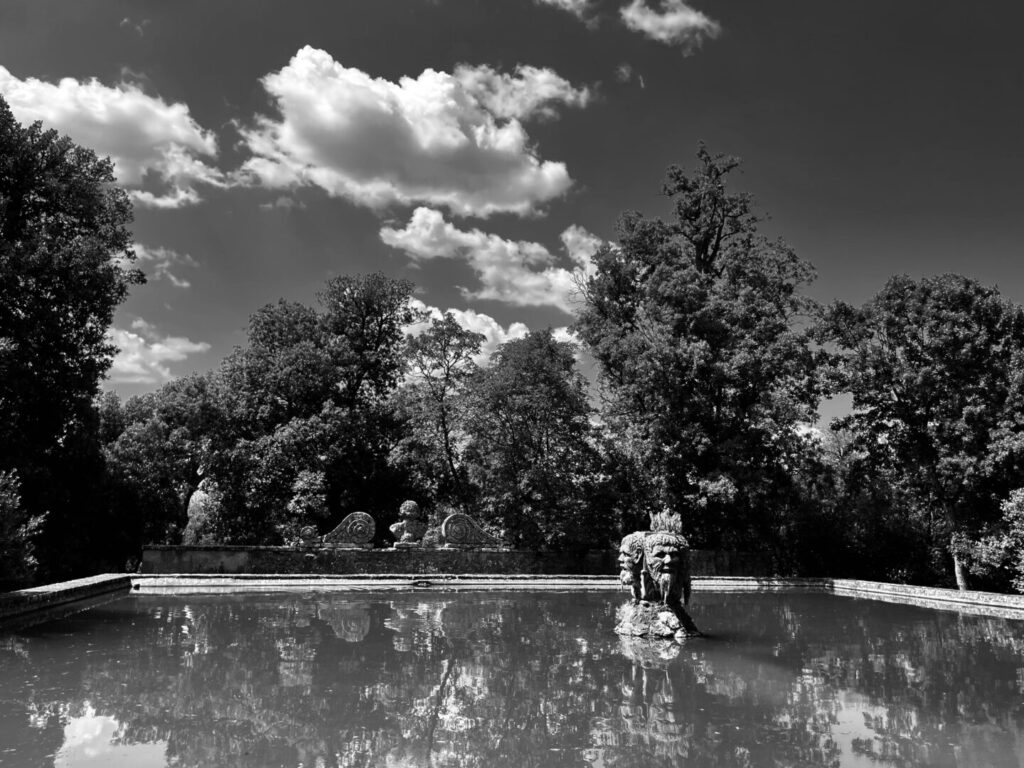 Surrealism Under The Scorching Sun