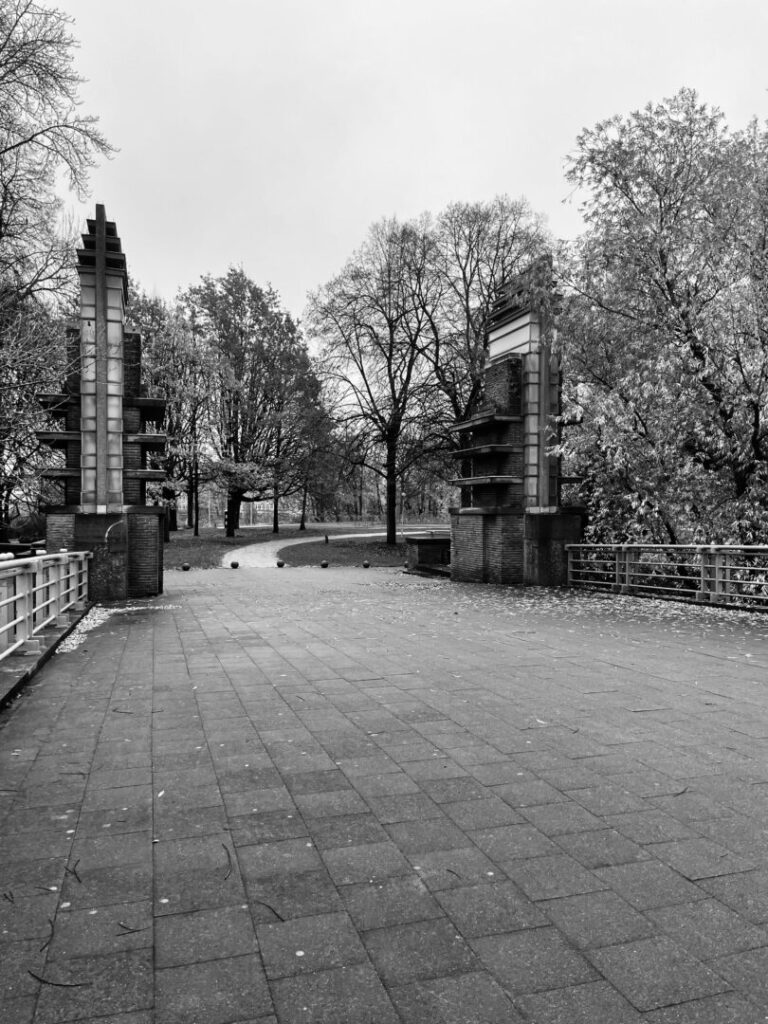 Something About Lines And Curves